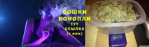 крисы Белокуриха