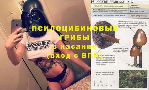 крисы Белокуриха