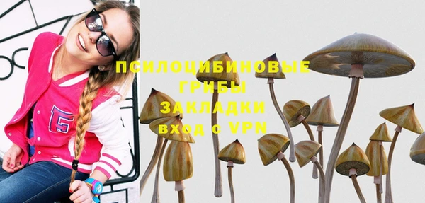 дживик Белоозёрский