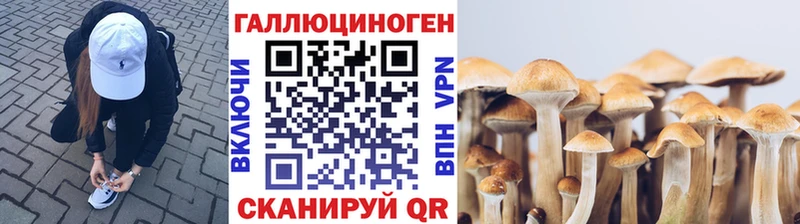 наркотики  Макаров  Псилоцибиновые грибы прущие грибы 